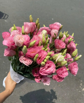 hoa Cát Tường chùm